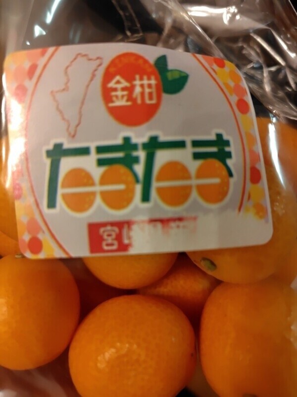 タマタマを吸い付くの…