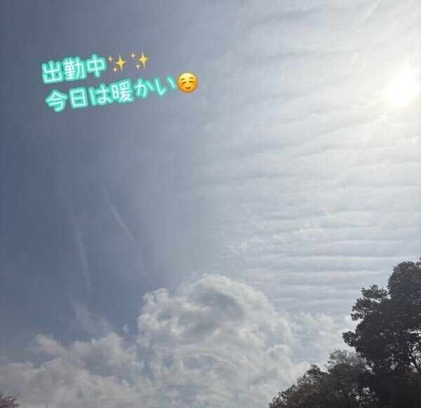 放出日🧡