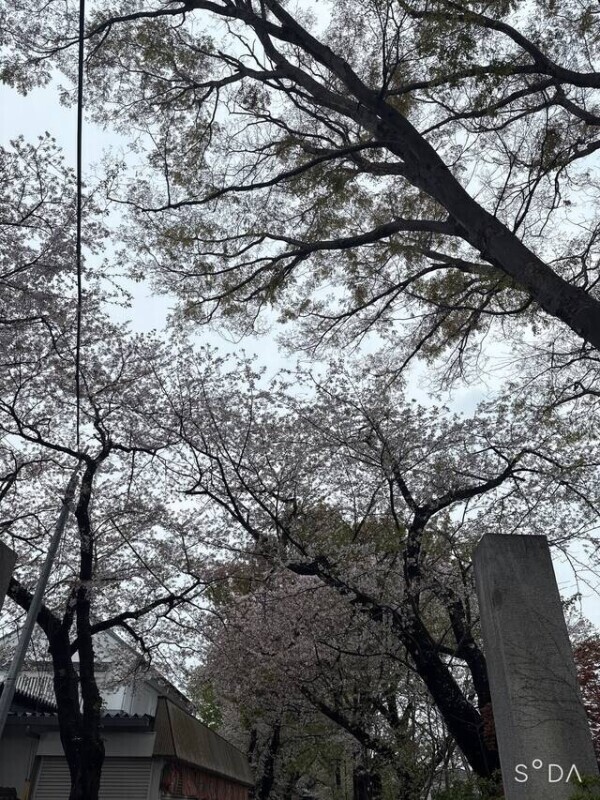 よく見ると…