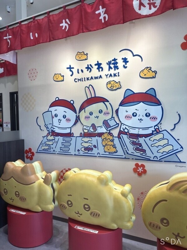 目の保養