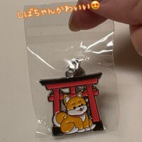 なおか先生