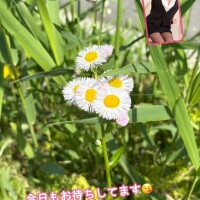 なおか先生