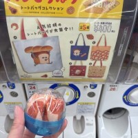 あずさ先生
