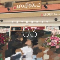 みく先生