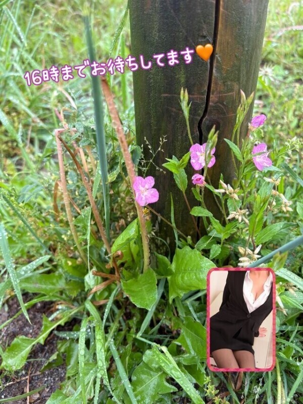 なおかだけ？🧡