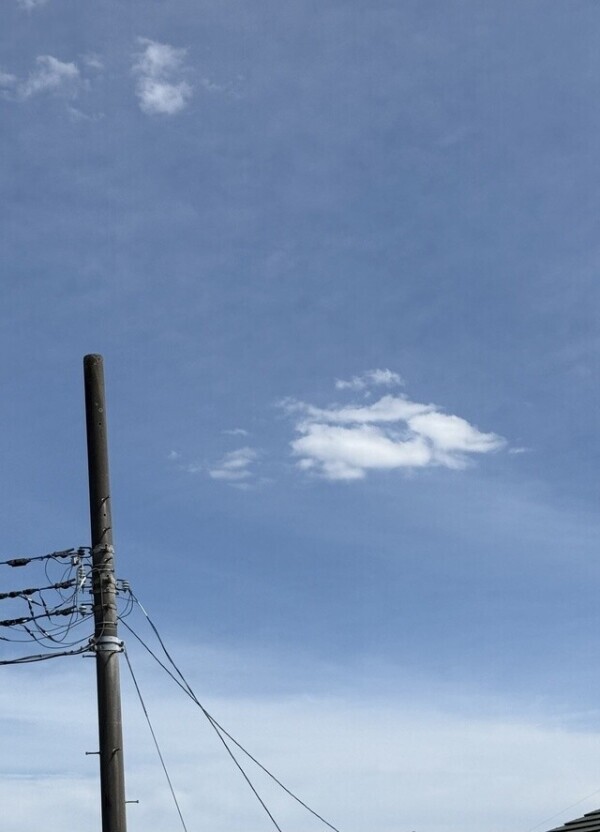 青⚪︎日和！←