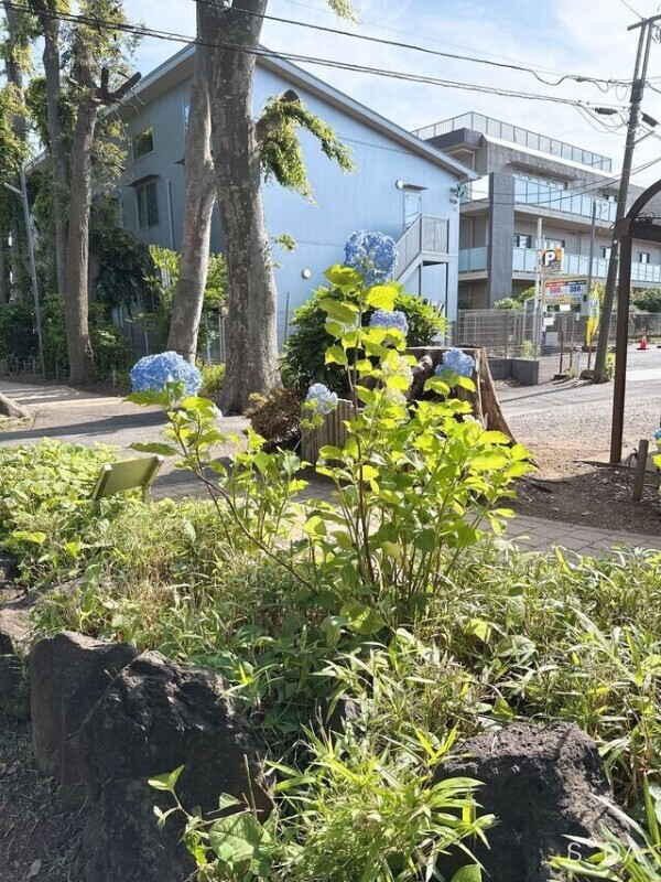 咲いてるねー