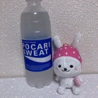 ゆかり先生