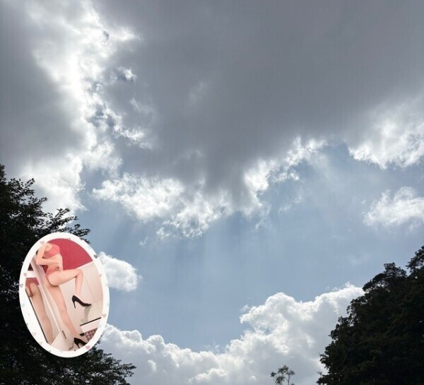 隙間から…🧡