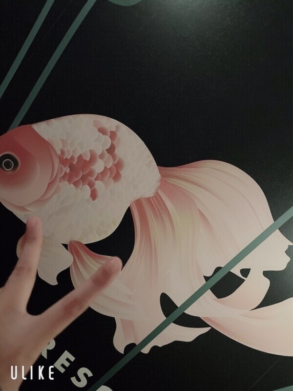 ブルブル…🩵