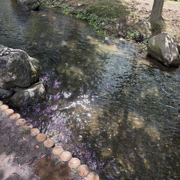 暑いね💦