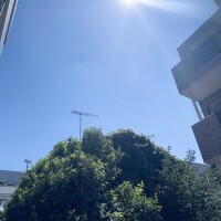 あずさ先生