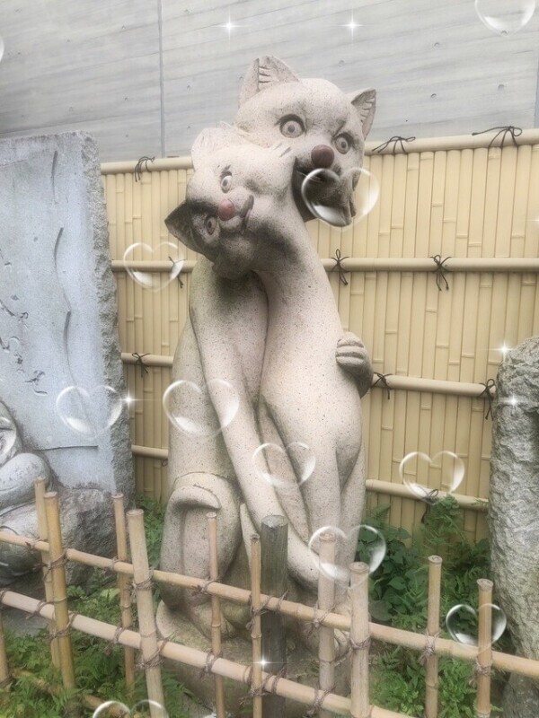 あれれ