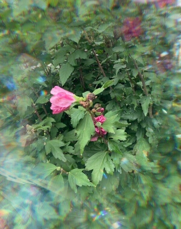 戻りましたー