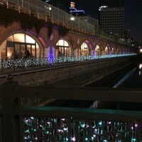 琴音先生