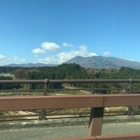 琴音先生