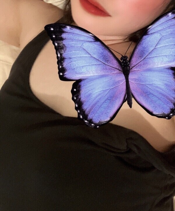 おはようございます