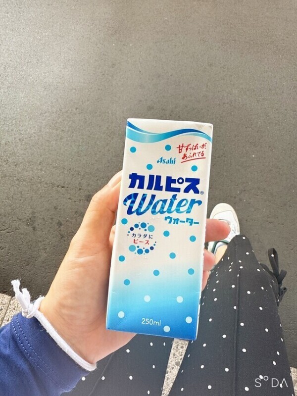 カルピスチェック！