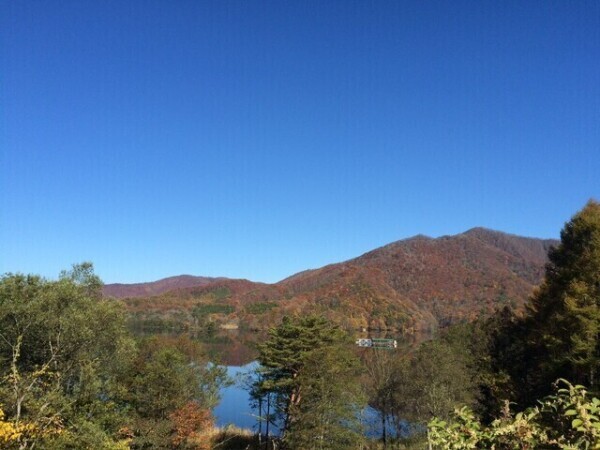 リフレッシュ♡