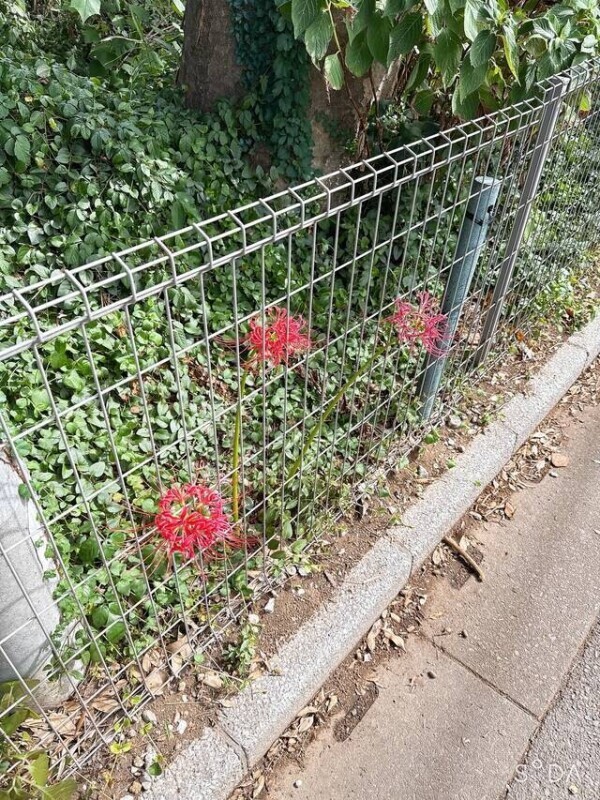 んなことあるんかいな！！