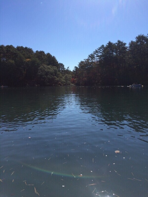 おはようございます♡