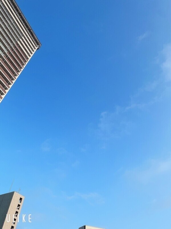 🩵𝒯𝒽𝒶𝓃𝓀 𝓎ℴ𝓊🩵