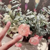 うた先生