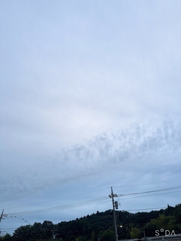 寒いよ((((；ﾟДﾟ)))))))