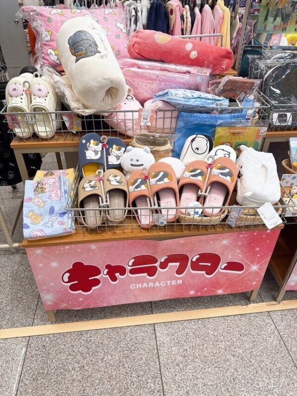 癒しを求めに…🫶