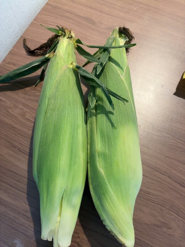 🌽朝収穫の初モノ🌽