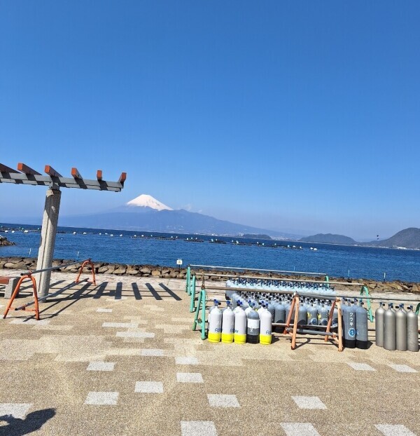 なぐも日記