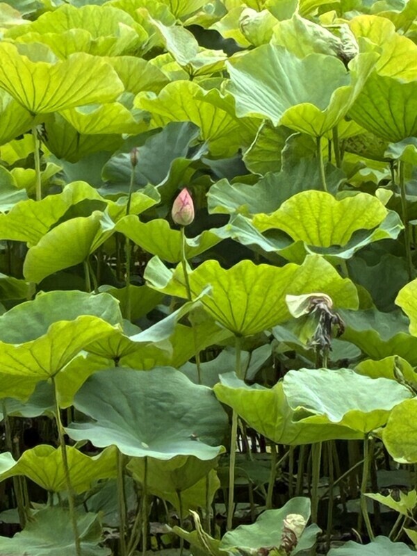 おはようございます💕