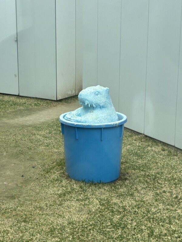 こんばんは