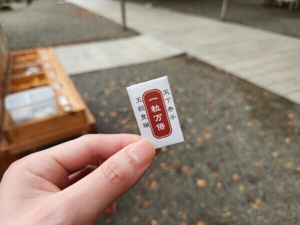 参拝⛩️
