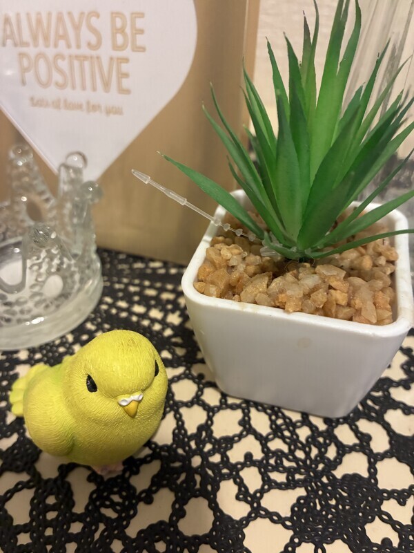 おやすみ