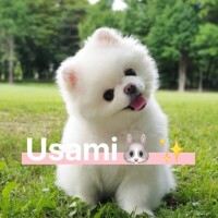 おはようございます☀