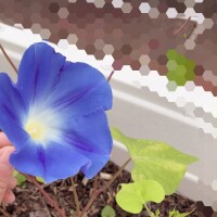 おはようございます