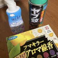 こんばんは