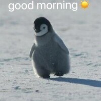 おはようございます☀️