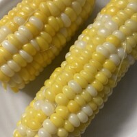 こんばんは