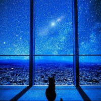 夜更かしさん