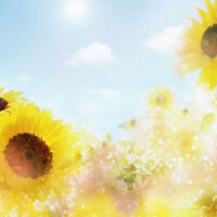 おはようございます🔆