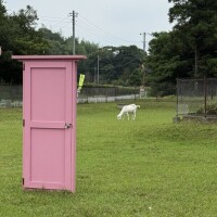 こんばんわ