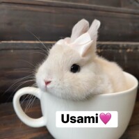 おはようございます☀️