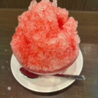 おはようございます🍀︎