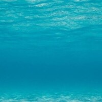 おはようございます☀️