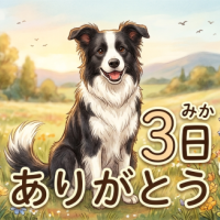 ありがとうございました🫶🏻🫧