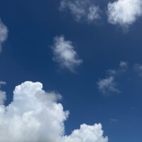おはようございます