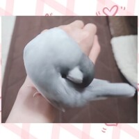 癒し♥*+