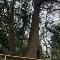こんばんは